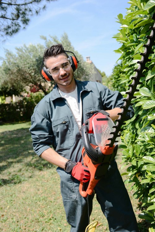 handsome young man gardener trimming hedgerow in park outdoor