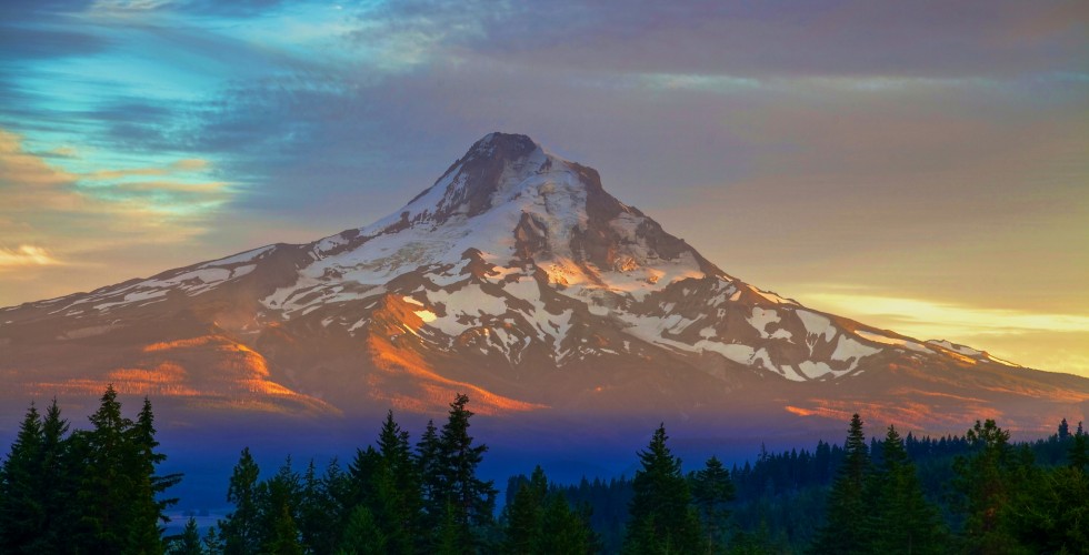 8081466807_6833088597_k