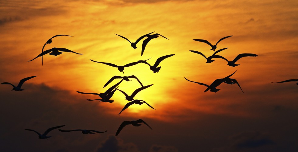 8397200896_fb43d8e37a_k